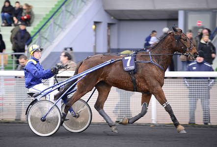 Actualités Hippiques